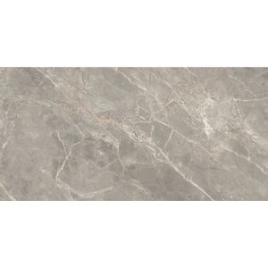 Vloertegel douglas & jones magnum 60x120 cm marmerlook gerectificeerd 6 mm geglazuurd gris