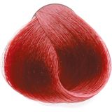 Fanola - Professional Colouring Cream - 6.6 - 100ml - Haarkleuring