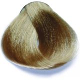 Fanola - Professional Colouring Cream - 10.13 - 100ml - Haarkleuring