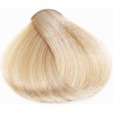 Fanola - Professional Colouring Cream - 10.13 - 100ml - Haarkleuring