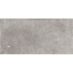 Flaviker  Tegel 60 x 120 cm - Grey - Keramiek - Rechthoekig - 2 stuks - 1,44 m2 - Natuursteenlook - Vloertegels - Wandtegels - Tegels - 0004141
