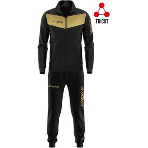 givova Visa Luxury, Unisex Volwassenen, Zwart/Goud, L