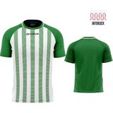 Givova Tratto T-shirt Met Korte Mouwen Groen M Man