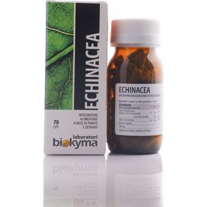 Biokyma - Echinacea - 70 capsules gedroogd extract - Zonnehoed voor de ondersteuning van afweersysteem - Vegan - Rode zonnehoed immuunsysteem en welzijn van de luchtwegen