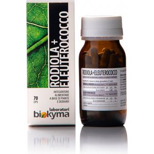 Rhodiola en Eleutherococcus voor de ondersteuning van geheugen en concentratie - Gedroogd Extract Capsules ideaal voor studenten - Biokyma