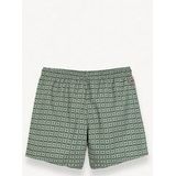 Colmar - 7269 Seabord - Zwembroek - Botanical Sketch