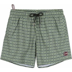 Colmar - 7269 Seabord - Zwembroek - Botanical Sketch