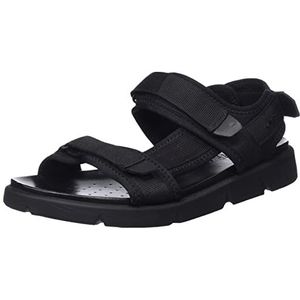 Geox, Flat Sandalen Zwart, Heren, Maat:46 EU