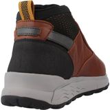 Geox - Casual Schoenen - Bruin