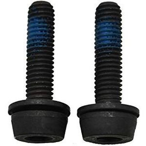 Campagnolo Bouten Voor Schijfremklauw Achter 44 Mm 2 Stuks