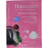 Teaology - Face Mask Peach Tea - Hydraterend Sheet Mask - 21 ml