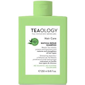 Teaology - Matcha Herstellende Shampoo - Groene Thee - 250 ml
