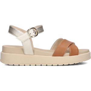 Nerogiardini, Dames, Schoenen, Bruin, Maat: 37 EU