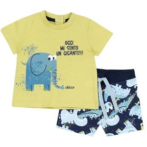 Chicco Set Van 2 T-Shirts En Shorts (2) baby-jongens, Giallo, 6M, Design in Italië