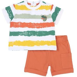 Chicco Set Van 2 T-Shirts En Shorts (2) baby-jongens, Veelkleurig, 6M, Design in Italië