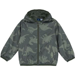 Chicco Jas met ritssluiting en capuchon voor kinderen en jongeren, Medium Groen, 6 jaar