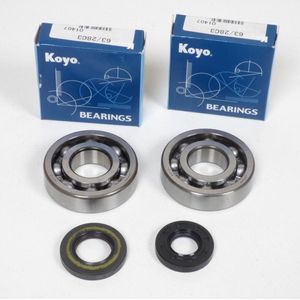 Kawasaki - KX - Krukas Lager Kit - 250 cc - 1994 tot 2002 - Origineel Type