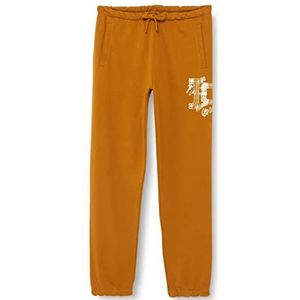 Just Cavalli heren broek, 163 tobacco