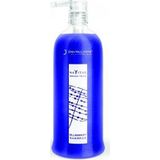 Jean Paul Mynè - Blueberry Shampoo - 1000ml