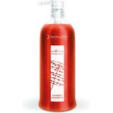 Jean Paul Mynè - Tumeric Shampoo - Koperkleur - 250ml - Organisch