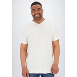 ALAN RED T-shirts Vermont (2-pack) - V-hals - wit en grijs melange