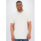 ALAN RED T-shirts Vermont (2-pack) - V-hals - wit en antraciet grijs