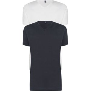 ALAN RED T-shirts Vermont (2-pack) - V-hals - wit en antraciet grijs
