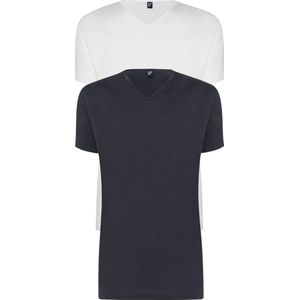 ALAN RED T-shirts Vermont (2-pack) - V-hals - wit en antraciet grijs