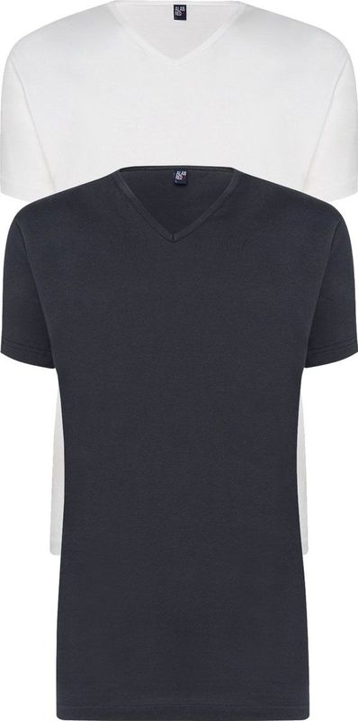 ALAN RED T-shirts Vermont (2-pack) - V-hals - wit en antraciet grijs