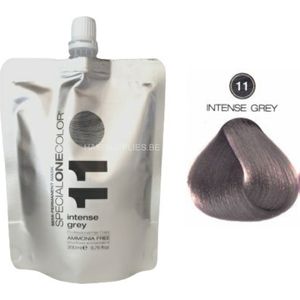 SPECIAL ONE COLOR MASK 200ML 11 INTENSE GREY
