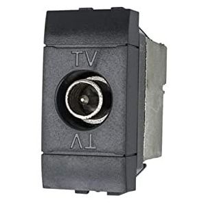 Module met stekker voor antennestopcontact tv compatibel BTicino Living