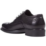 Geox - U DUBLIN B Sneakers - Zwart - Ademend - Antibacterieel