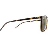 Ray-Ban RB4387 - Rechthoekig Havana