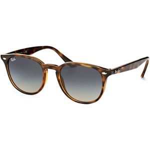 Ray-Ban RB4259 - Rond Zilver