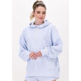 Champion Hooded Sweatshirt Dms Plain Truien & vesten Dames - Sweater - Hoodie - Vest- Lichtblauw
