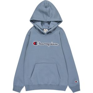 Champion Sweater
