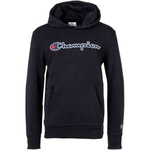 Champion Sweater