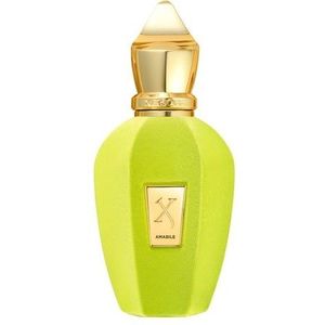 Unisex-Parfüm Xerjoff Amabile EDP 50 ml