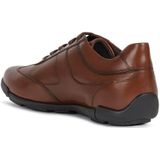 Geox - Edgware - Sneakers - Cognac - Leer
