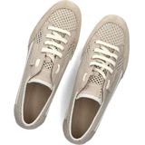CANDICE COOPER - Dafne 2 - Sneakers - Beige - Suède
