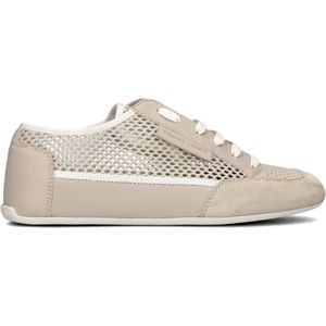 CANDICE COOPER - Dafne 2 - Sneakers - Beige - Suède