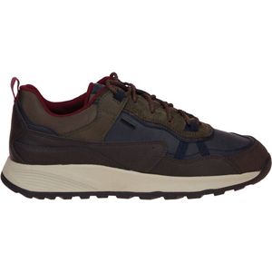 Geox Terrestre Blauw-Bruine Schoen