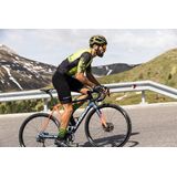 Nalini - Heren - Fietsshirt - Korte Mouwen - Wielrenshirt - Geel - Zwart - NEW ERGO LASER J