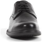 Geox - U CARNABY D - Sneakers - Zwart - Leer