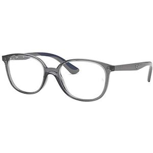 Ray-Ban Unisex Repos-bril, grijs.