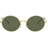 Ray-Ban Zonnebril RB1970