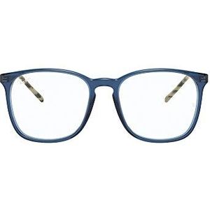 RAY-BAN VISTA zonnebril unisex, Blauw