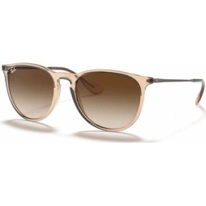 Ray Ban Erika Transparent Light Brown Zonnebril BruinTransparant