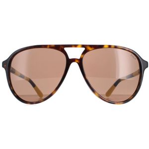 Ralph Lauren Ph4173-500373 Sunglasses Bruin Brown Man