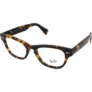 Brillen met correctie Ray-Ban Laramie RX2201V 8116